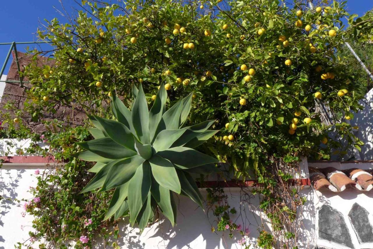 Rural Houses Serafin Casa Rural Serafin The Best Views Tejeda  Exterior photo